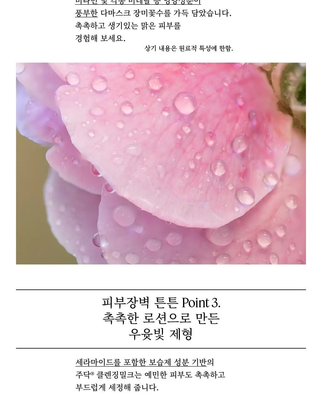 [세안종결] 주닥 약산성 로즈 68% 클렌징밀크 250ml 상세페이지 6